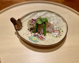 Dinner at Shunsai Ten Tsuchiya (旬彩天 つちや)