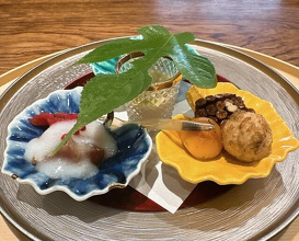 Dinner at Shunsai Ten Tsuchiya (旬彩天 つちや)