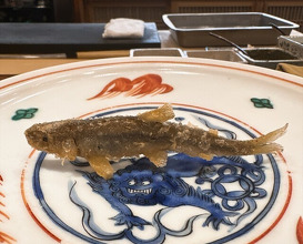 Dinner at Shunsai Ten Tsuchiya (旬彩天 つちや)