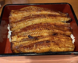 Dinner at Ikewanagi no Mise Tsugumi An (活鰻の店 つぐみ庵)