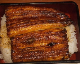 Dinner at Ikewanagi no Mise Tsugumi An (活鰻の店 つぐみ庵)