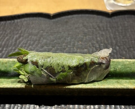 Dinner at Higashiyama Tsukasa (ひがしやま 司)