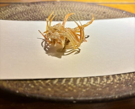 Dinner at Tsuru Hachi (鶴八)