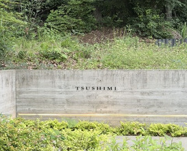 Dinner at TSUSHIMI
