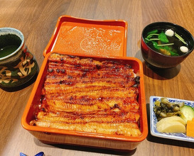 Dinner at Unagi Uomasa (うなぎ 魚政)