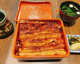 Dinner at Unagi Uomasa (うなぎ 魚政)