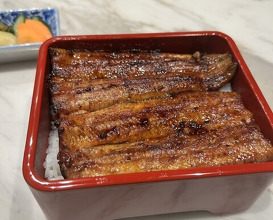 Dinner at Unagi Uomasa (うなぎ 魚政)