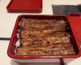 Dinner at Unagi Uomasa (うなぎ 魚政)