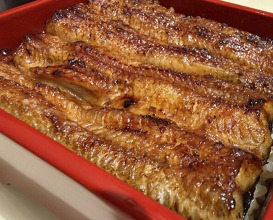 Dinner at Unagi Uomasa (うなぎ 魚政)