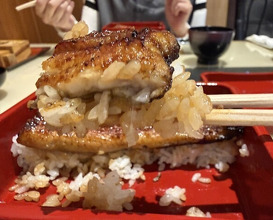 Dinner at Unagi Uomasa (うなぎ 魚政)