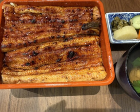 Dinner at Unagi Uomasa (うなぎ 魚政)
