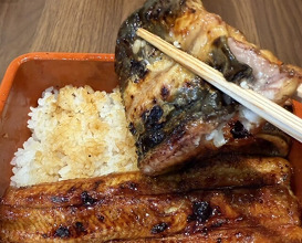 Dinner at Unagi Uomasa (うなぎ 魚政)