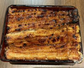 Dinner at Unagi Uomasa (うなぎ 魚政)