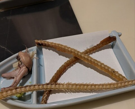 Dinner at Unagi Uomasa (うなぎ 魚政)