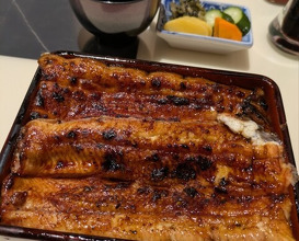 Dinner at Unagi Uomasa (うなぎ 魚政)
