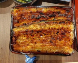 Dinner at Unagi Uomasa (うなぎ 魚政)