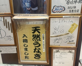Dinner at Unagi Uomasa (うなぎ 魚政)