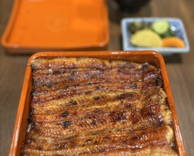 Dinner at Unagi Uomasa (うなぎ 魚政)