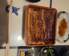 Dinner at Unagi Uomasa (うなぎ 魚政)