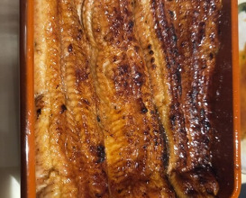 Dinner at Unagi Uomasa (うなぎ 魚政)