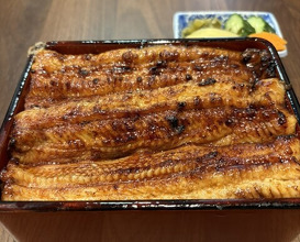 Dinner at Unagi Uomasa (うなぎ 魚政)