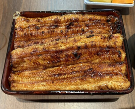 Dinner at Unagi Uomasa (うなぎ 魚政)