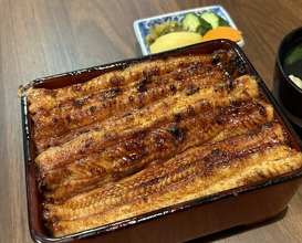 Dinner at Unagi Uomasa (うなぎ 魚政)