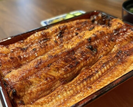 Dinner at Unagi Uomasa (うなぎ 魚政)