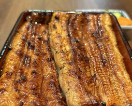 Dinner at Unagi Uomasa (うなぎ 魚政)