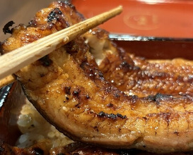 Dinner at Unagi Uomasa (うなぎ 魚政)