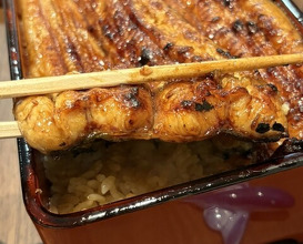 Dinner at Unagi Uomasa (うなぎ 魚政)