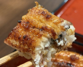 Dinner at Unagi Uomasa (うなぎ 魚政)