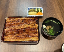 Dinner at Unagi Uomasa (うなぎ 魚政)