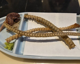Dinner at Unagi Uomasa (うなぎ 魚政)