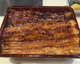 Dinner at Unagi Uomasa (うなぎ 魚政)