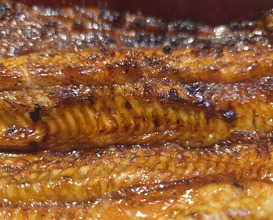Dinner at Unagi Uomasa (うなぎ 魚政)