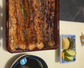 Dinner at Unagi Uomasa (うなぎ 魚政)