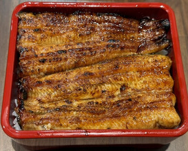 Dinner at Unagi Uomasa (うなぎ 魚政)