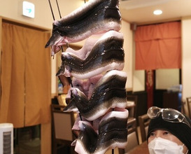 Dinner at Uran (う嵐)