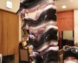 Dinner at Uran (う嵐)