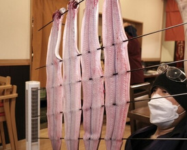 Dinner at Uran (う嵐)