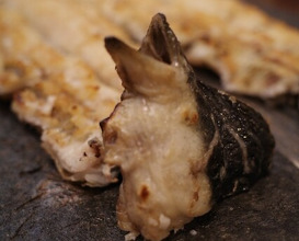 Dinner at Uran (う嵐)