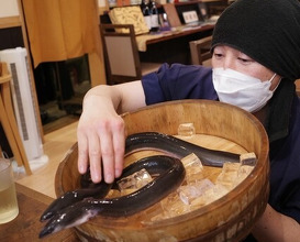 Dinner at Uran (う嵐)