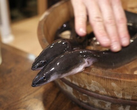 Dinner at Uran (う嵐)
