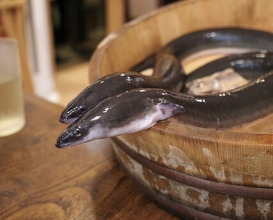 Dinner at Uran (う嵐)