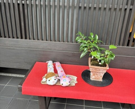Dinner at Uran (う嵐)