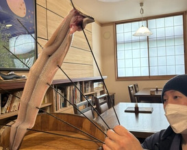 Dinner at Uran (う嵐)