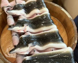 Dinner at Uran (う嵐)