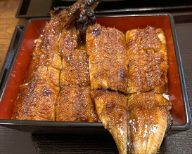 Dinner at Uran (う嵐)