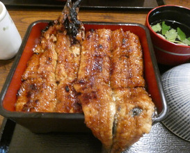 Dinner at Uran (う嵐)